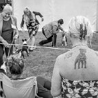 Richard Histon - Dog show Harewood House UK 2016